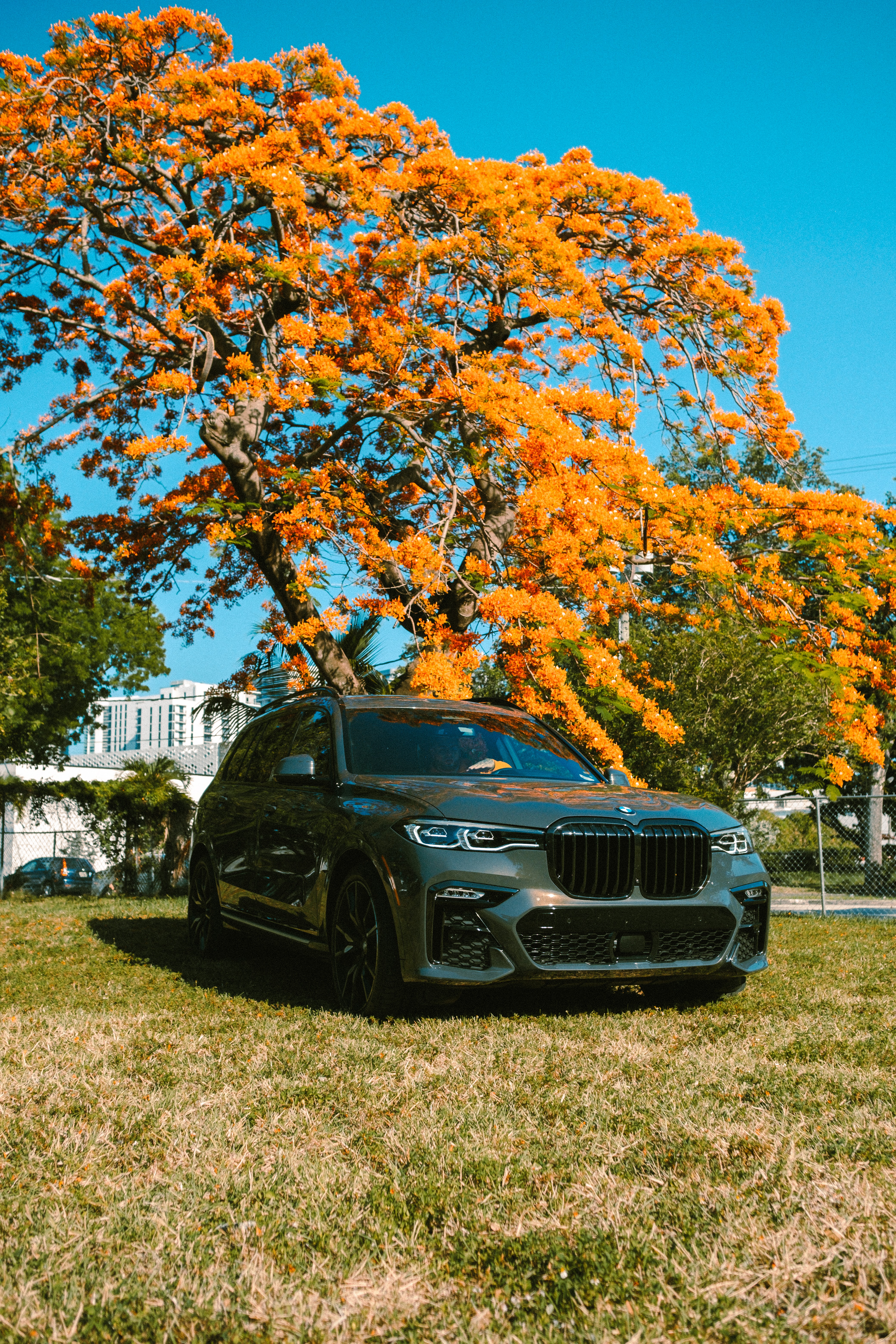 luxury car specialist